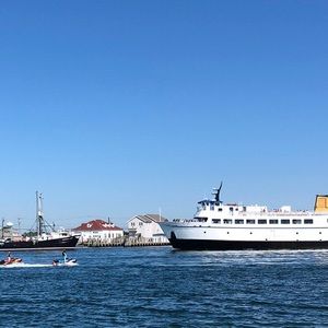 Meet your Posher, Iris